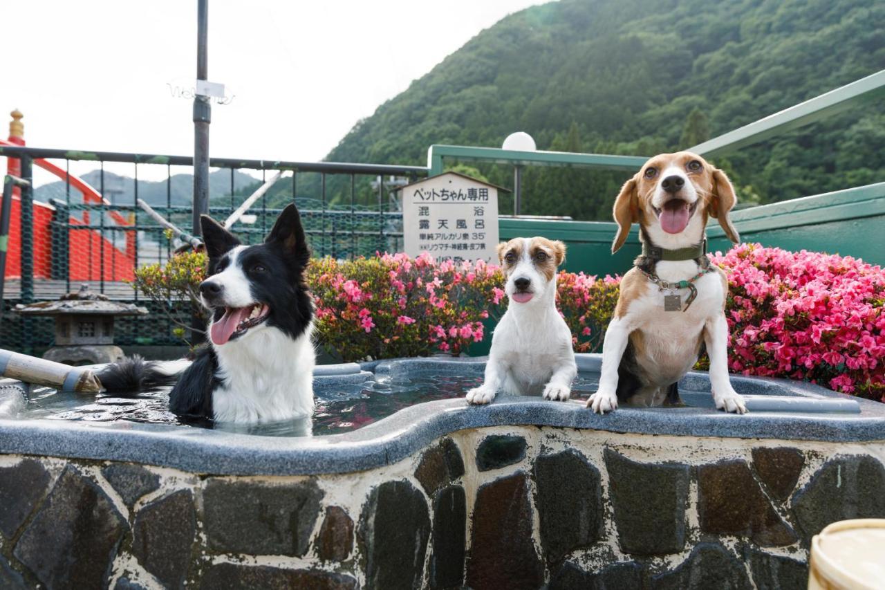 Kinugawa Kokusai Hotel Нико Екстериор снимка