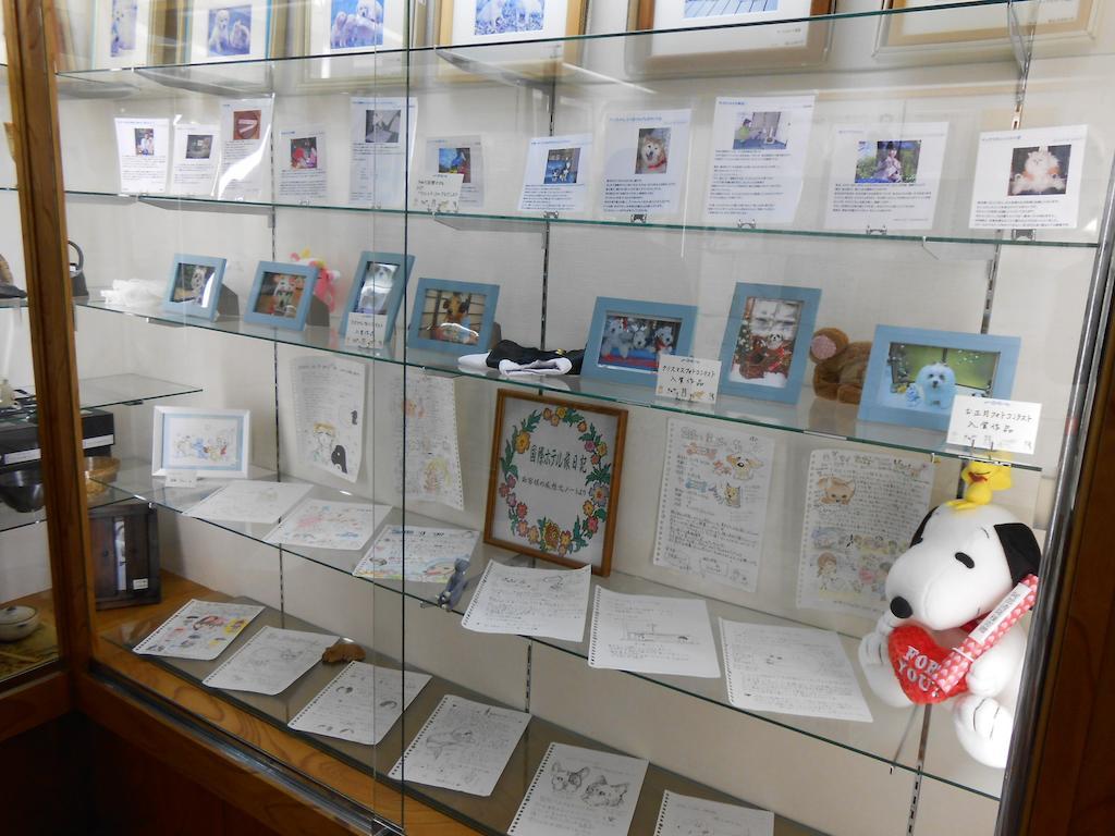 Kinugawa Kokusai Hotel Нико Екстериор снимка