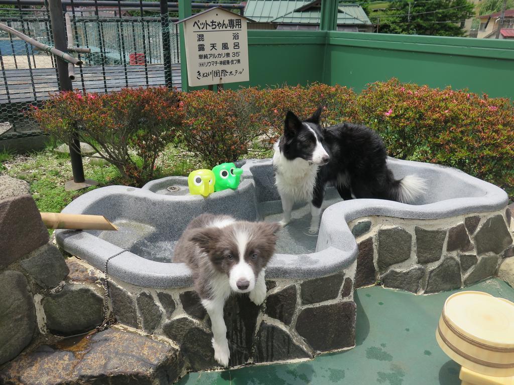 Kinugawa Kokusai Hotel Нико Екстериор снимка